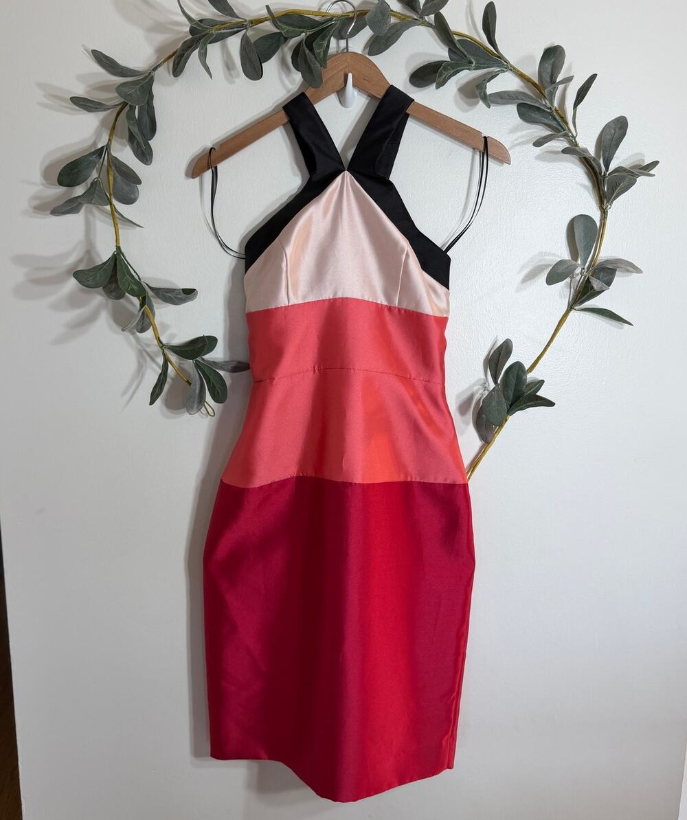 ABS Colorblock Sheath Dress LAST CALL